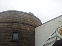 sandymount tower-12130.jpg
